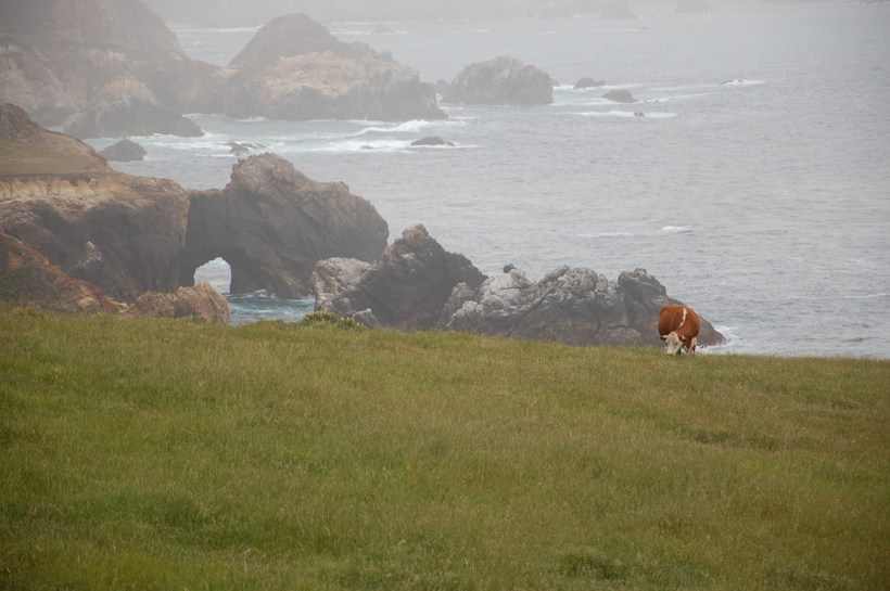 7218214538_e634c398e5_b