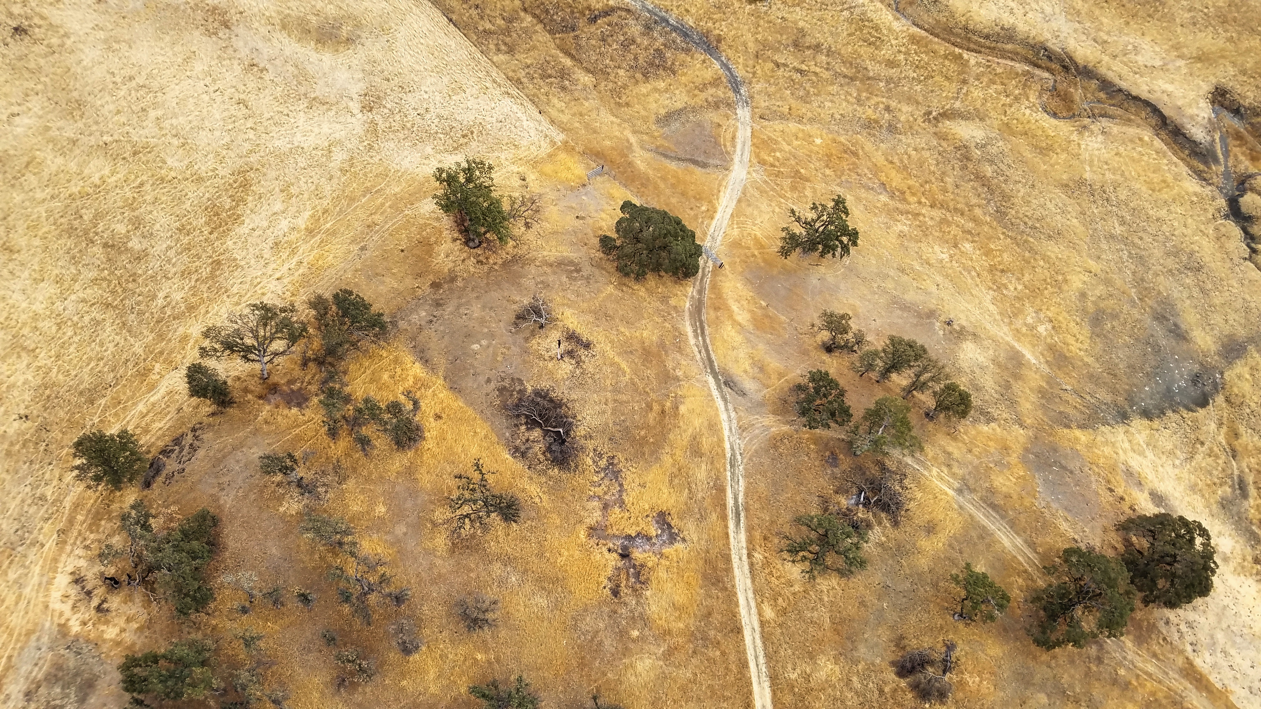 Middletown, California, USA 2016 Adriana J. Machado